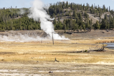 Old Faithful Geyser Area Yellowstone 2024